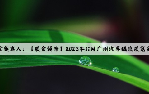 完美真人：【展会预告】2023年11月广州汽车线束展览会